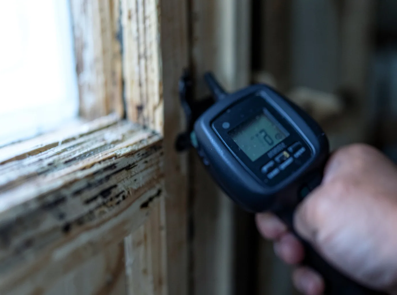Moisture Inspection And Documentation in Darlington, MD